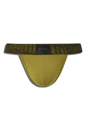 APEX PREDATOR SPORT BRIEF